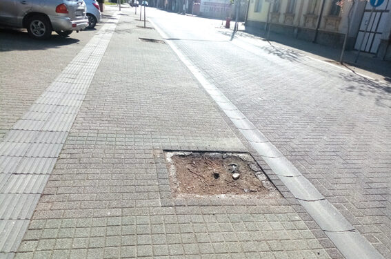 Avenija bez drveća