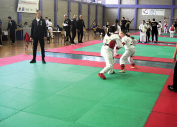 „SOKO“ iz Osečine raširenih krila