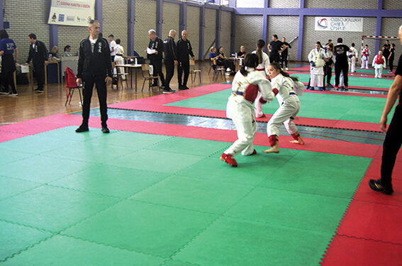 „SOKO“ iz Osečine raširenih krila