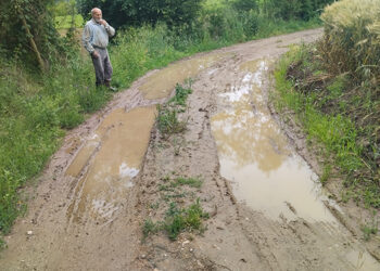 Ko neće da ide na mitinge gazi blato!