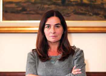 Novinari, glineni golubovi