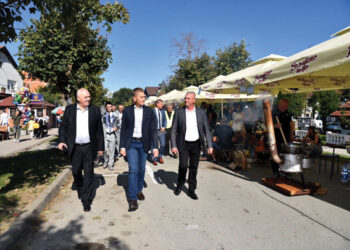 XV Festival zimnice u Koceljevi