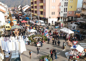 Izuzetno velika posećenost na “Azbukovačkom bazaru”