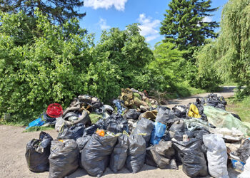 Zavrni rukave u Šapcu