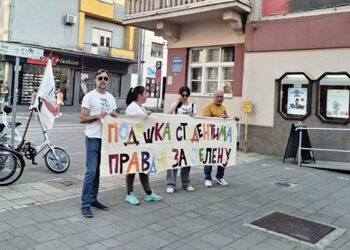 Umetnost protiv primitivizma
