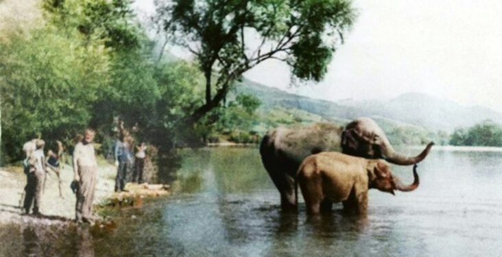 Cirkus na Drini – epizoda koja traje