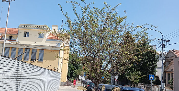 U Estergonu, Višegradu i Sentandreji