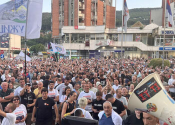 Jedinstvo i solidarnost na delu