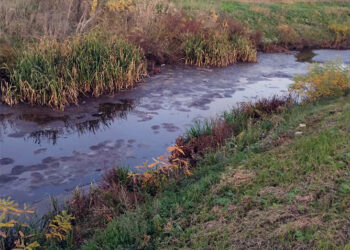  Borba za Kočin kanal i čistiju Savu
