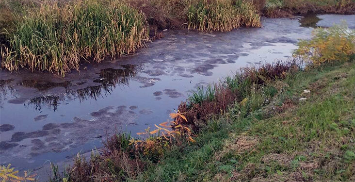  Borba za Kočin kanal i čistiju Savu