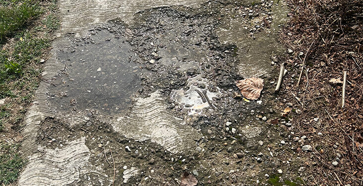 Svi putevi građane Šapca vode na Savu, a na Savi, puteva NEMA