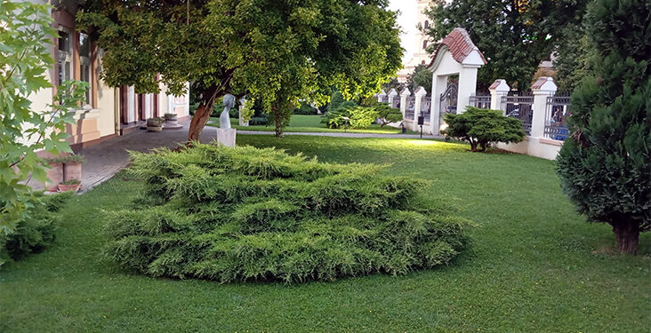 Zelenilo za odmor