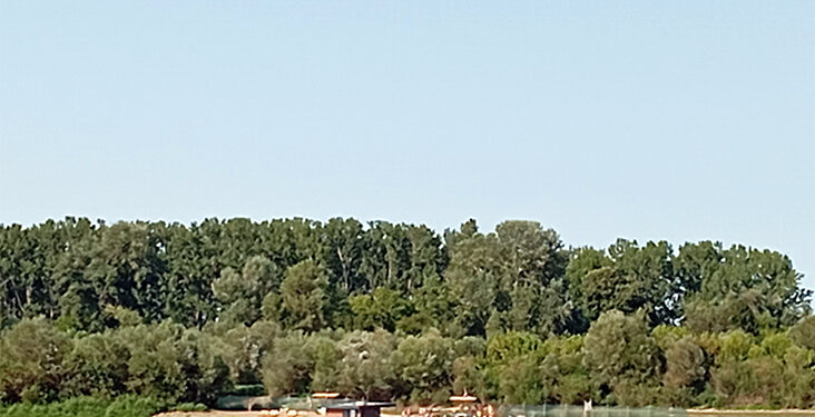 Nova plaža