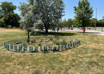 Šabac dobio malu biblioteku na otvorenom u okviru projekta „Niklo kao ja“