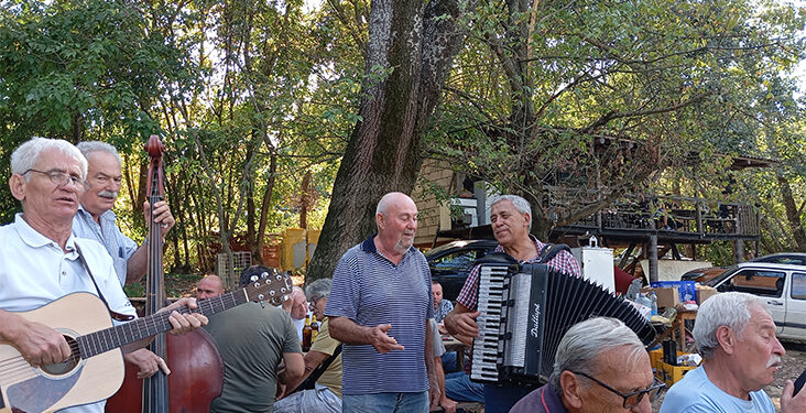 Rođendan Mime Kovačevića