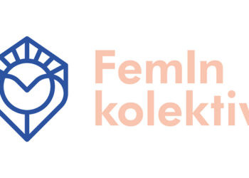 Saopštenje za javnost ženskih i feminističkih organizacija i aktivistkinja povodom policijskog nasilja u Novom Sadu