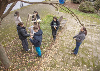 Učenici pomažu pticama u hladnim danima