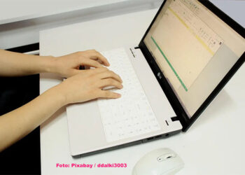 „Alo“ otkupio i Lotel Plus, Santos i RTV Bačka Palanka, Vesti sa severa osnovale portal „Moja Bačka Topola“