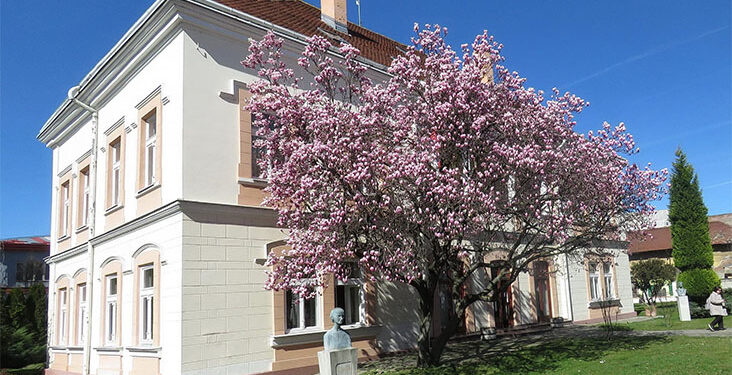 Obeležavanje Nacionalnog dana knjige