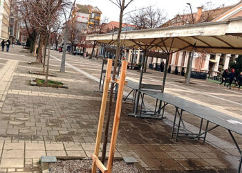 Nove sadnice u Karađorđevoj