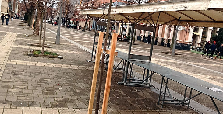 Nove sadnice u Karađorđevoj