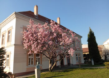 Proleće u gradu