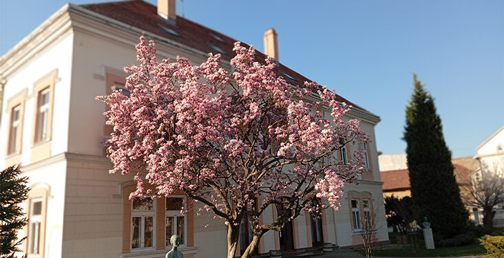 Proleće u gradu