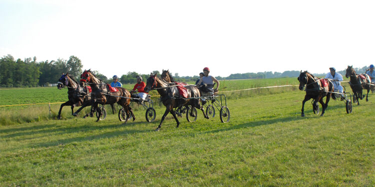 Pred početak nove trkačke sezone