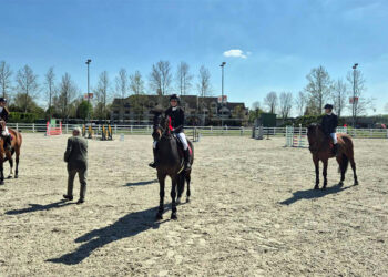 Zlato i bronza za “Taur”