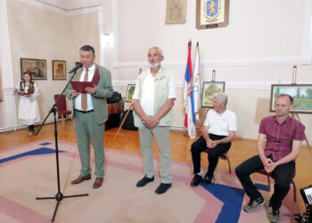  Đukina slikarska kolajna