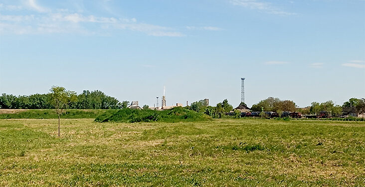Zatravila Dudara