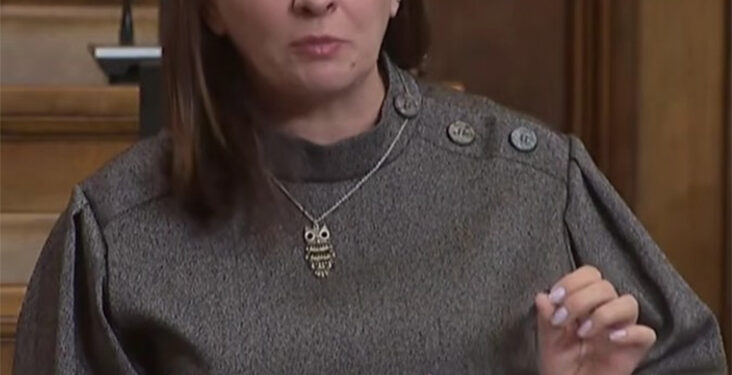 Brine tendencija rasta nasilja nad decom